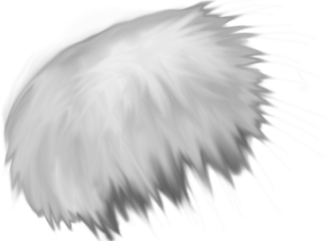 White Feather Drawing Artwork PNG