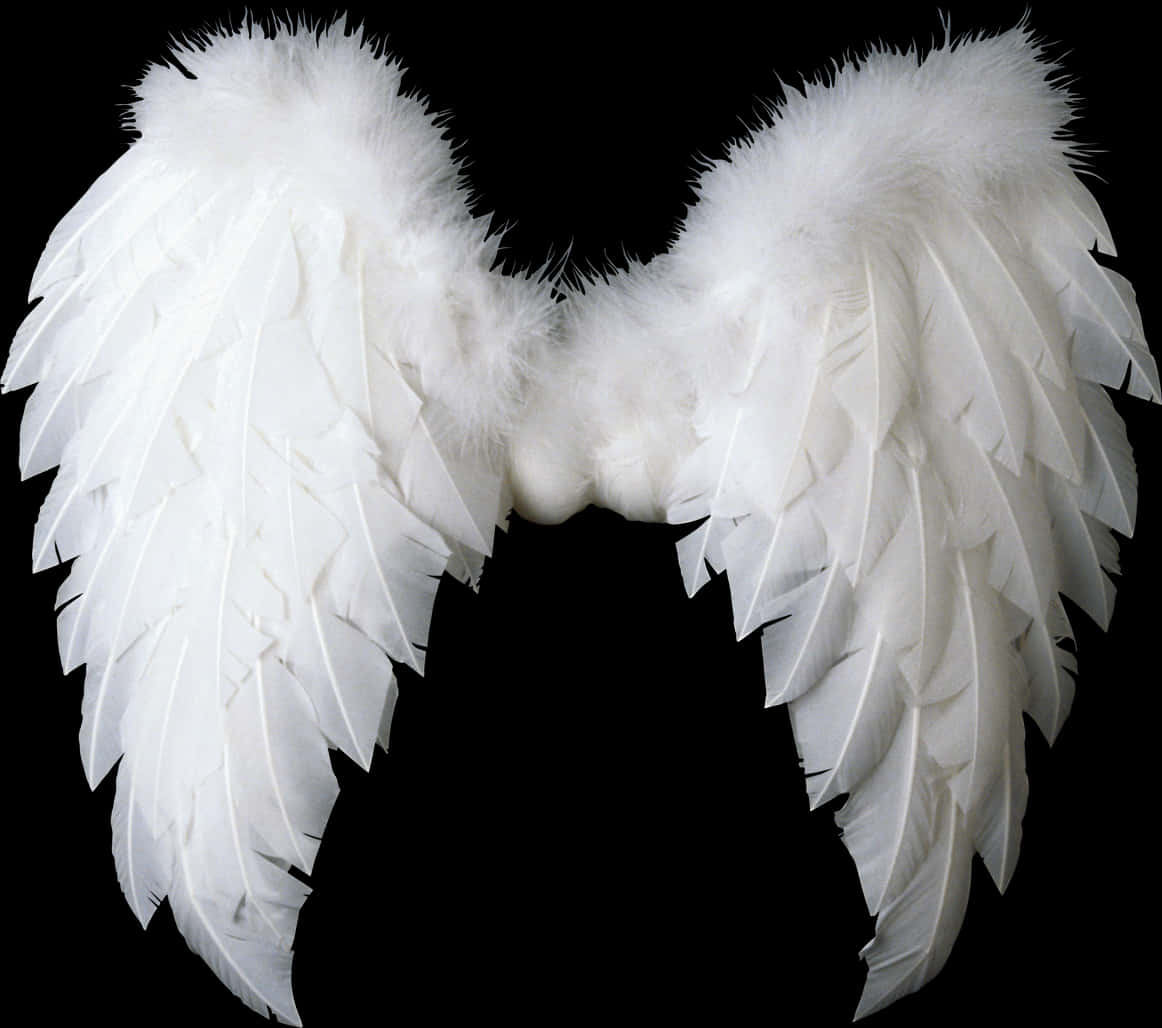 White Feathered Angel Wings Isolated PNG