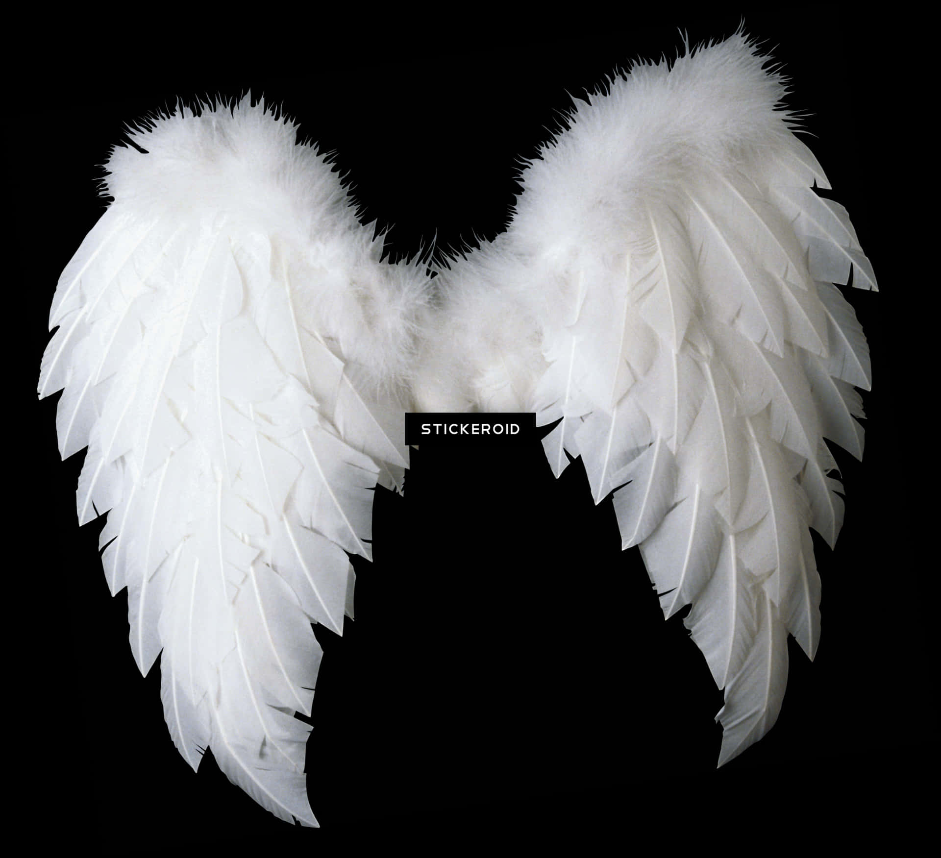White Feathered Angel Wings PNG