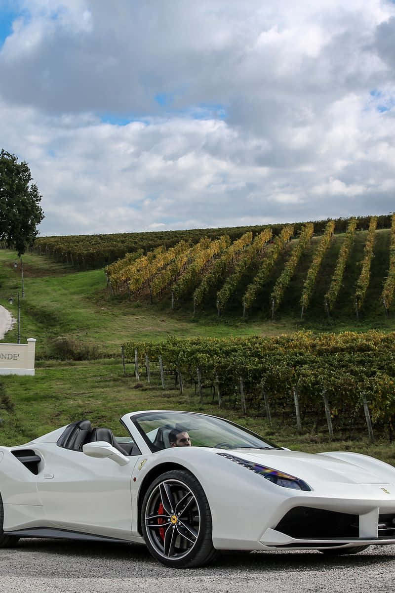 A White Ferrari Sports Car Parked In Front Of Vineyards Wallpaper
