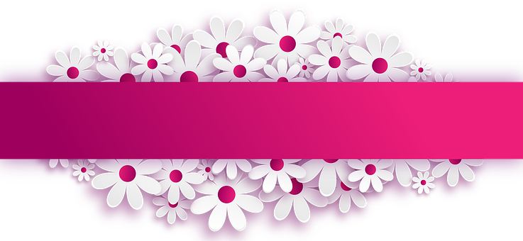White Floral Bannerwith Pink Stripe PNG