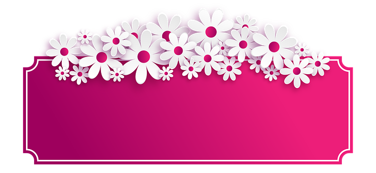 White Floral Borderon Pink Background PNG