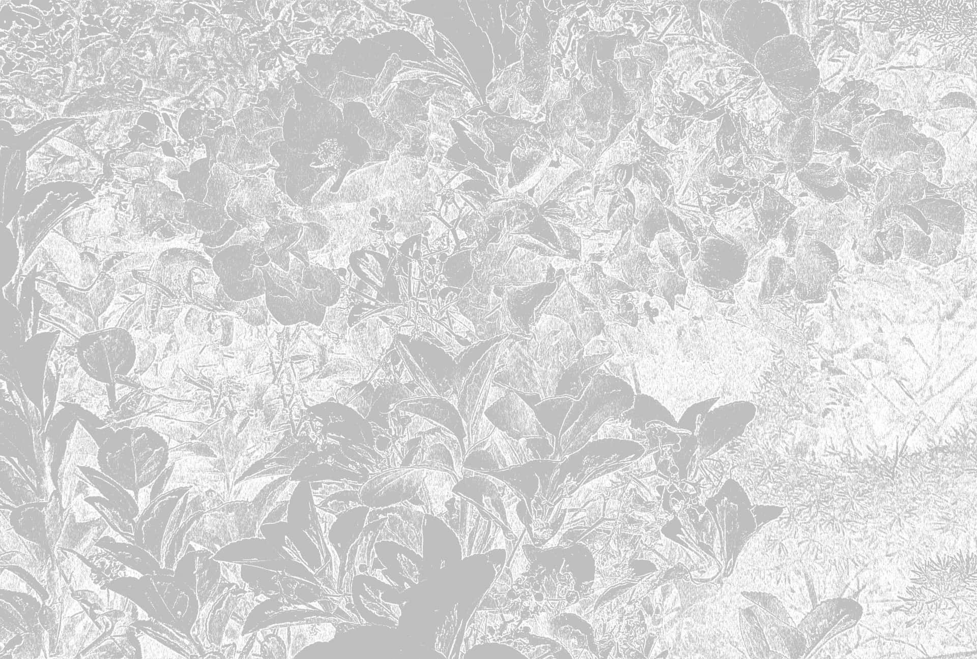 White Floral Texture Background Wallpaper