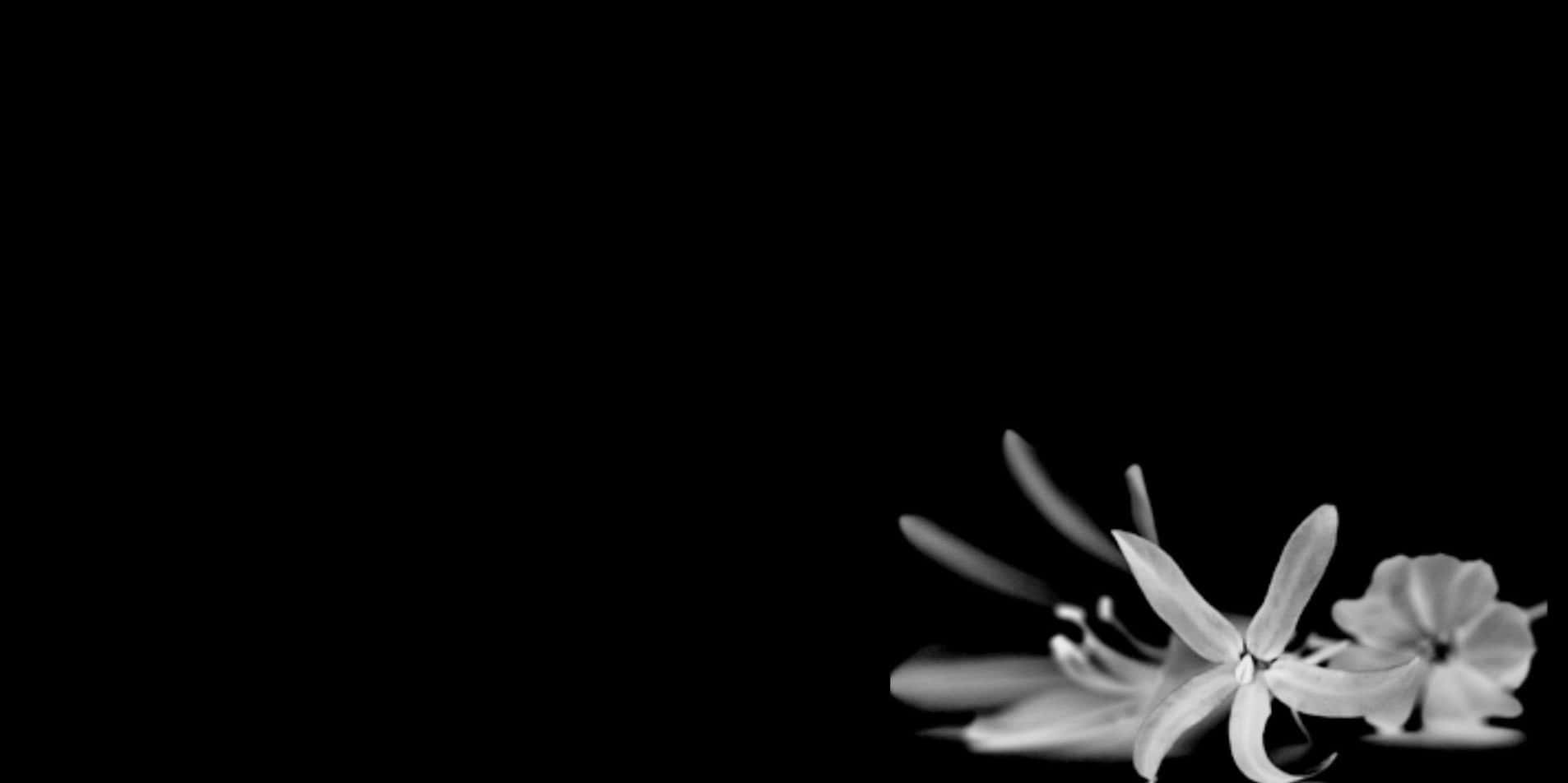 A Black And White Photo Of Flowers