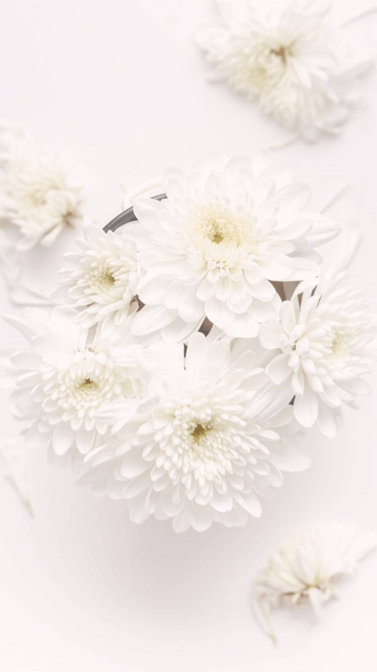 Weißesblumenstrauß Für Das Iphone Wallpaper
