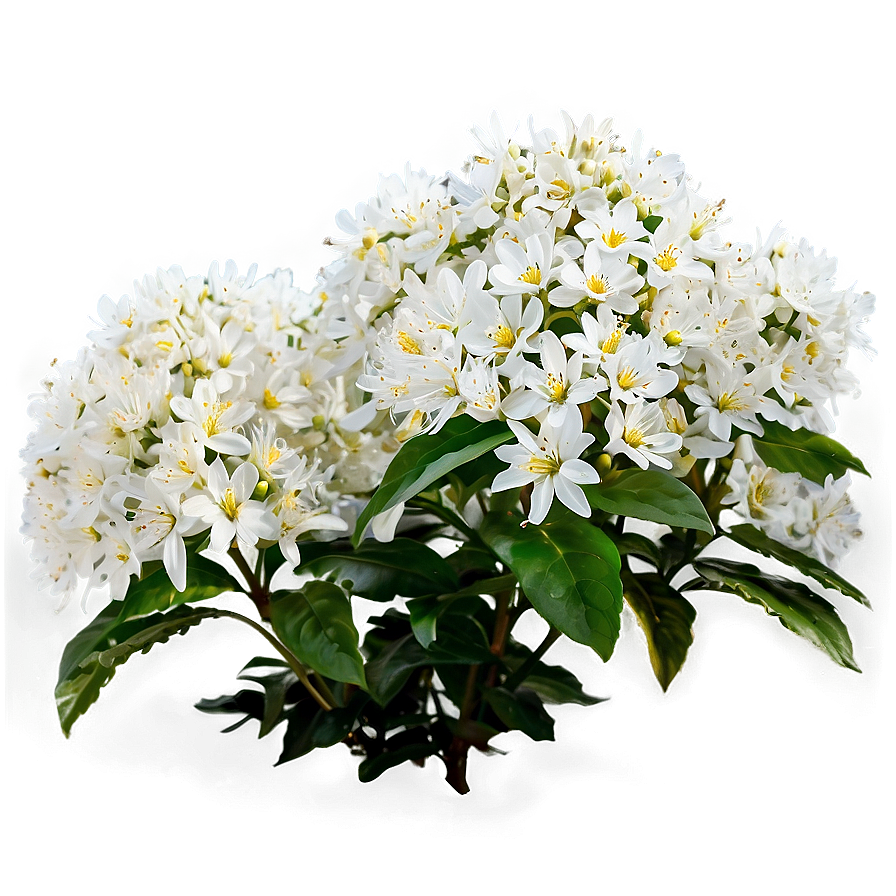 White Flower Bush Png Gam88 PNG