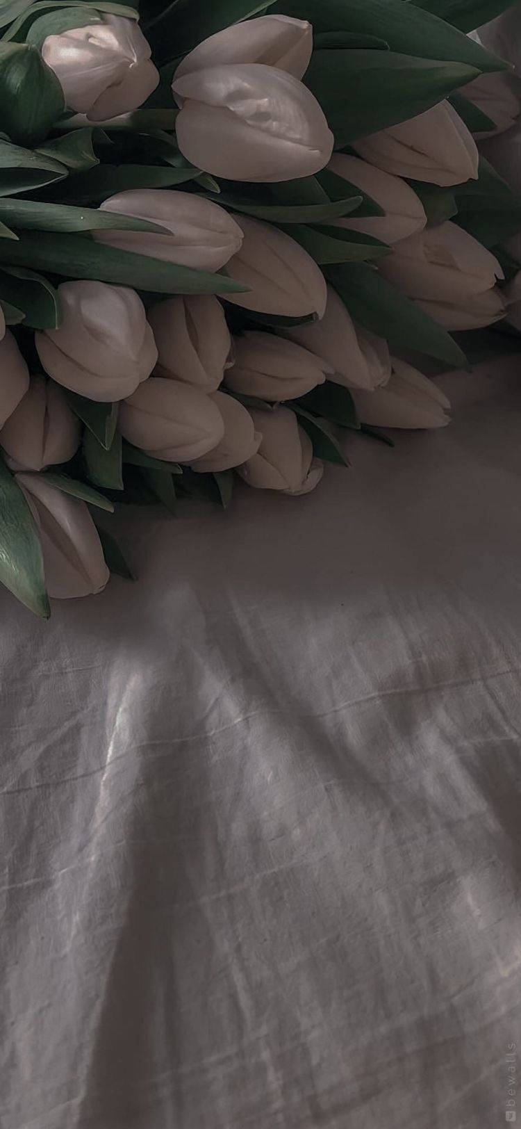 Hvid Blomst på Hvid Ark iPhone Tapet Wallpaper