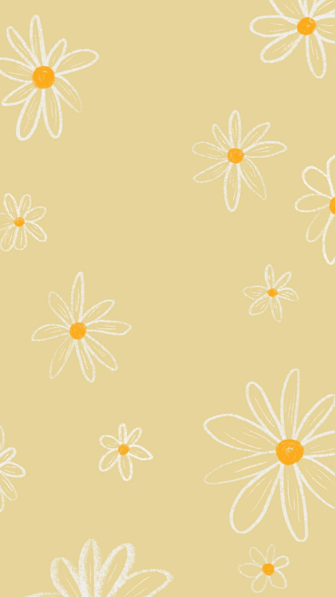 White Flower Patterns Boho Iphone Background