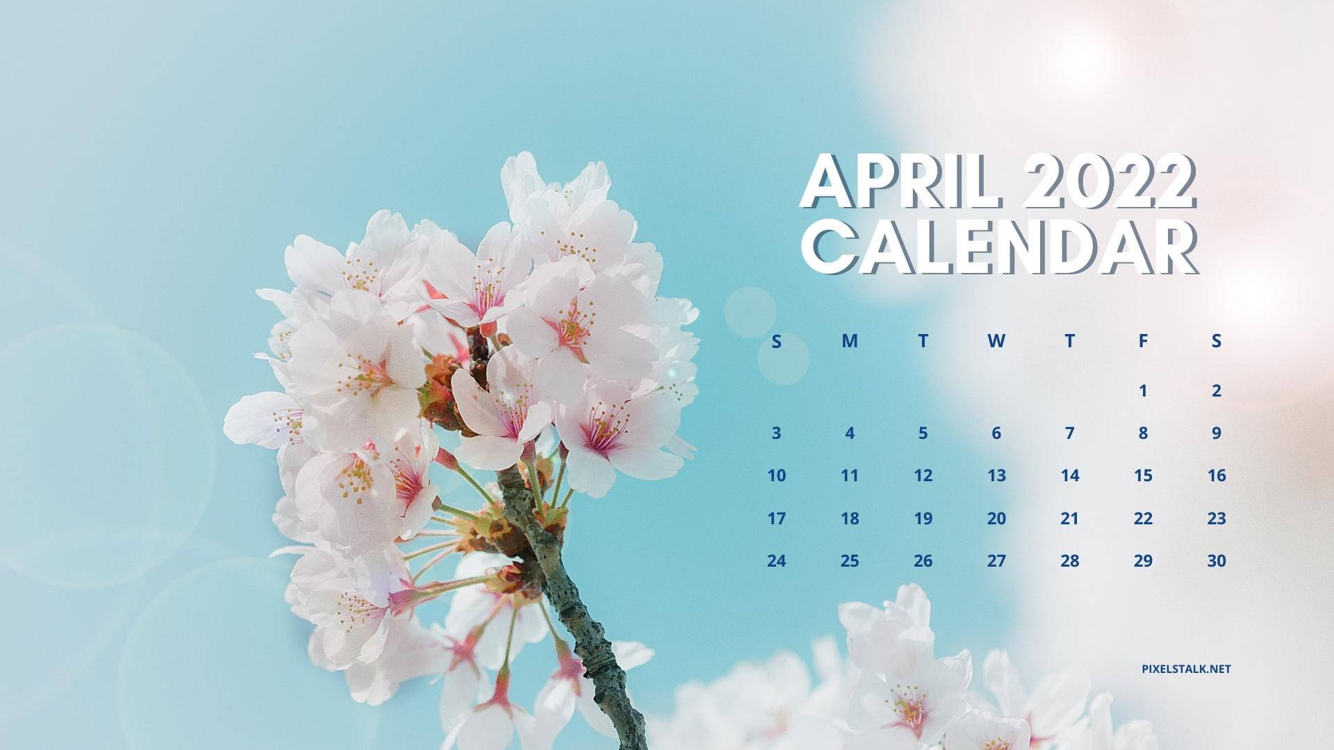 White Flower Sky April 2022 Calendar Background