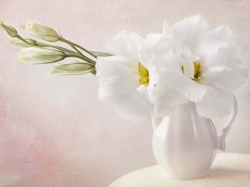 Captivating White Flowers In Full Bloom