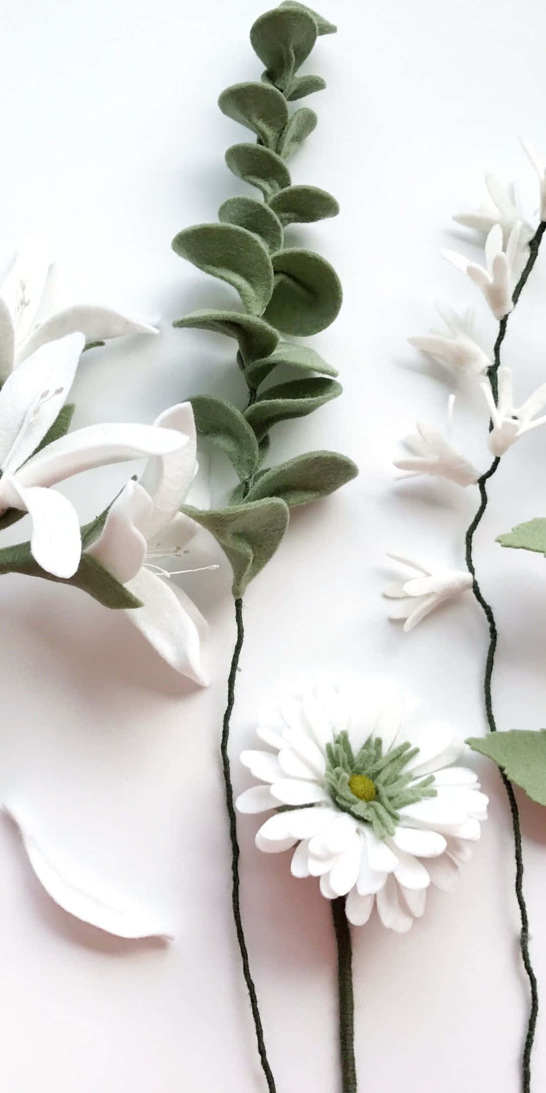 Einstrauß Schöner Weißer Blumen.
