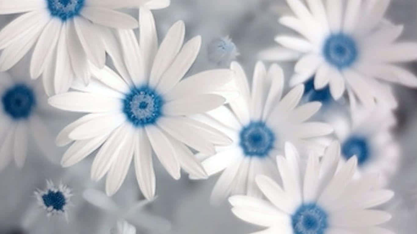 Captivating White Flowers: Nature's Beauty Captured in an Image