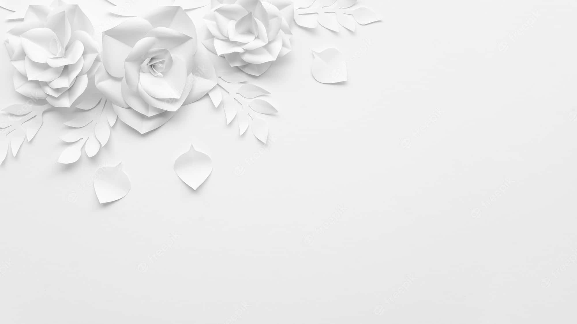 Lyseog Smukke Hvide Blomster I Haven.