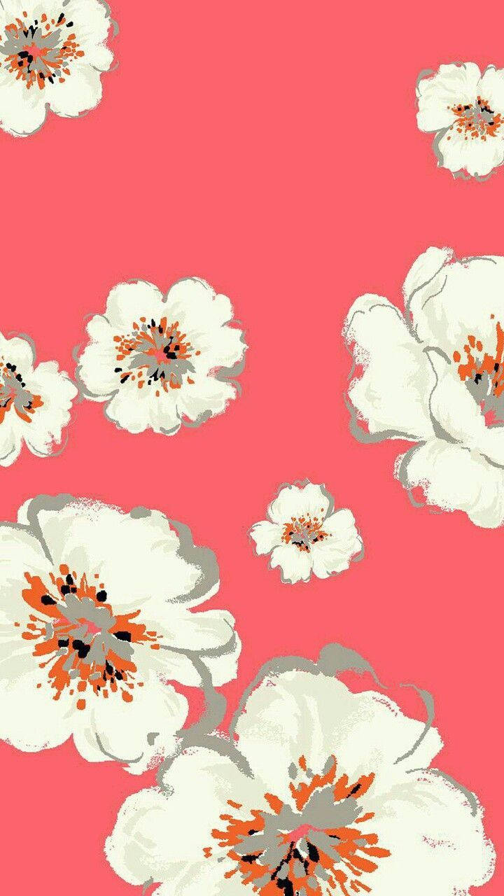 White Flowers Coral Pink Wallpaper