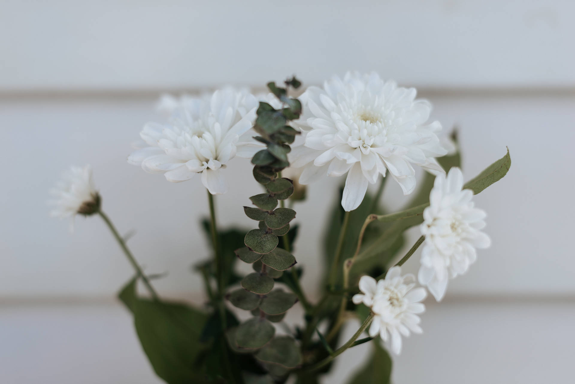 White Flowers For Mothers Day