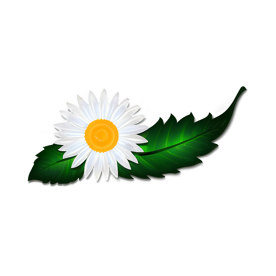 White Flowers Icon Png Rft94 PNG