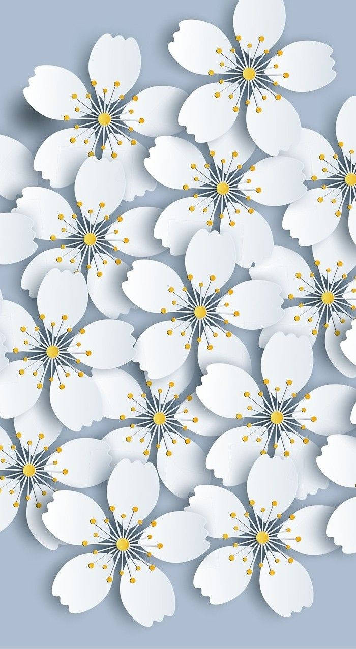 Hvid Bloom Sakura Cut-Out Skrivebordswallpaper Wallpaper