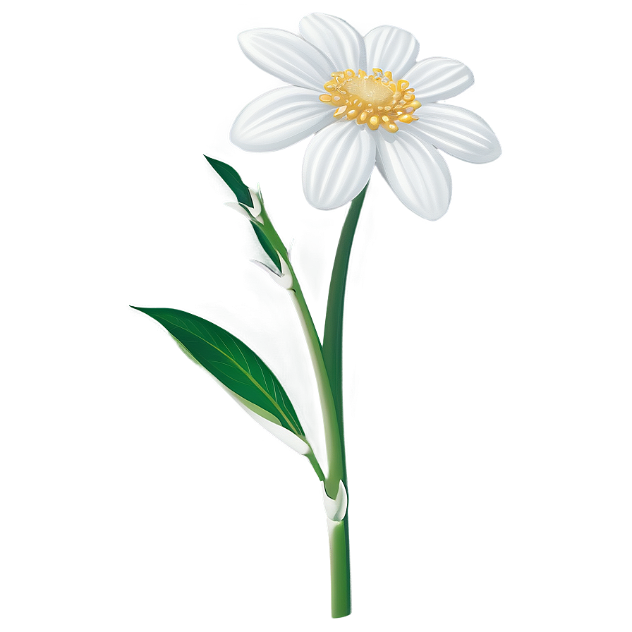 White Flowers Single Stem Png 05242024 PNG