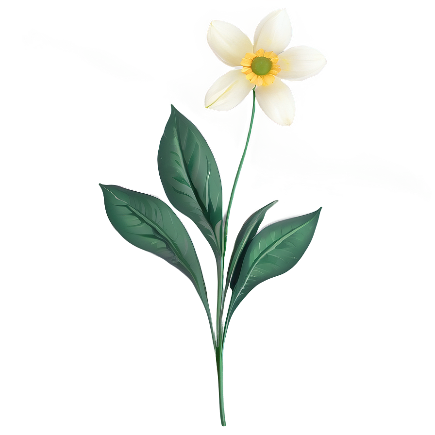 White Flowers Single Stem Png Qnw71 PNG