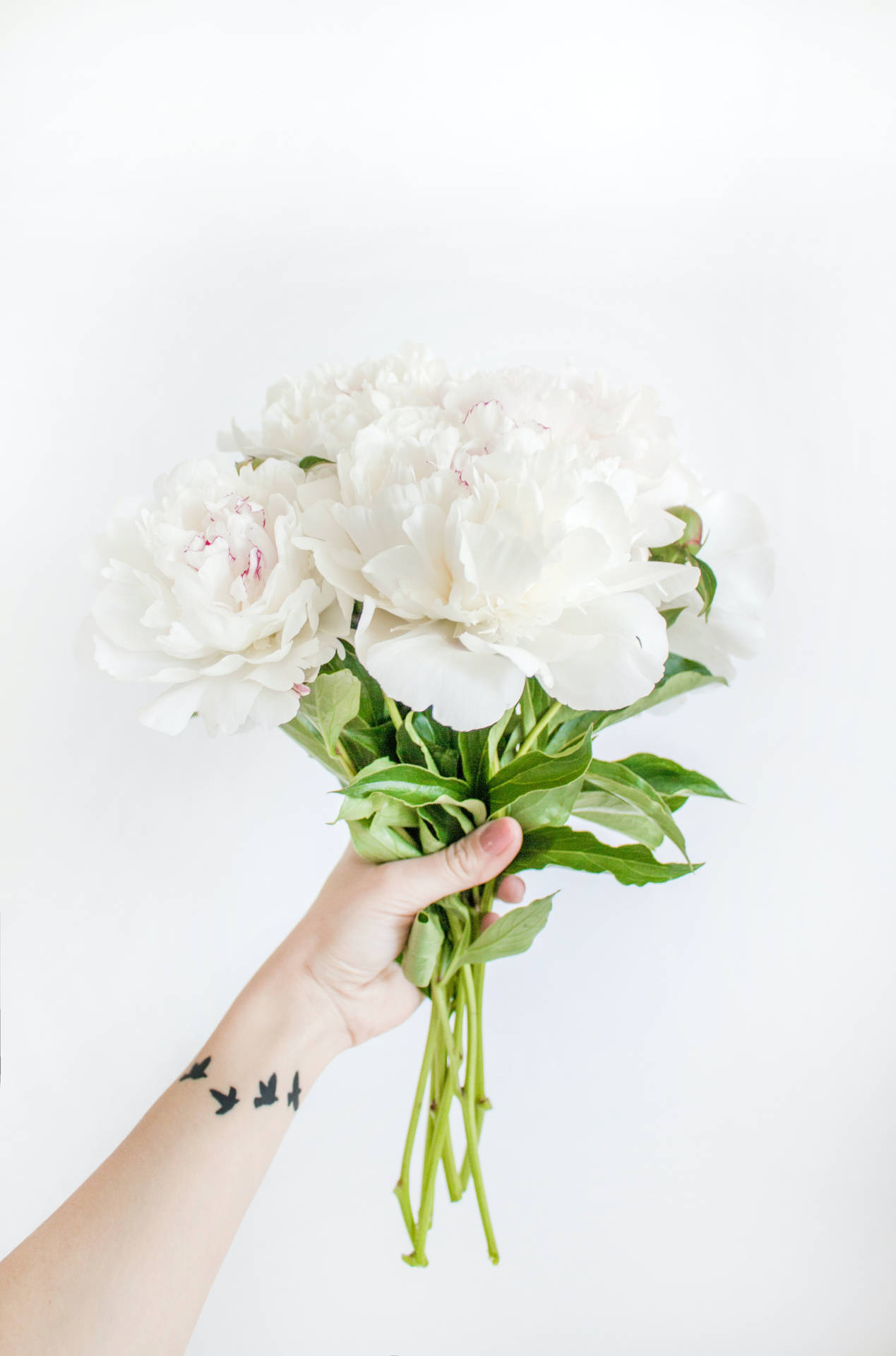 White Flowers Tattooed Arm Wallpaper