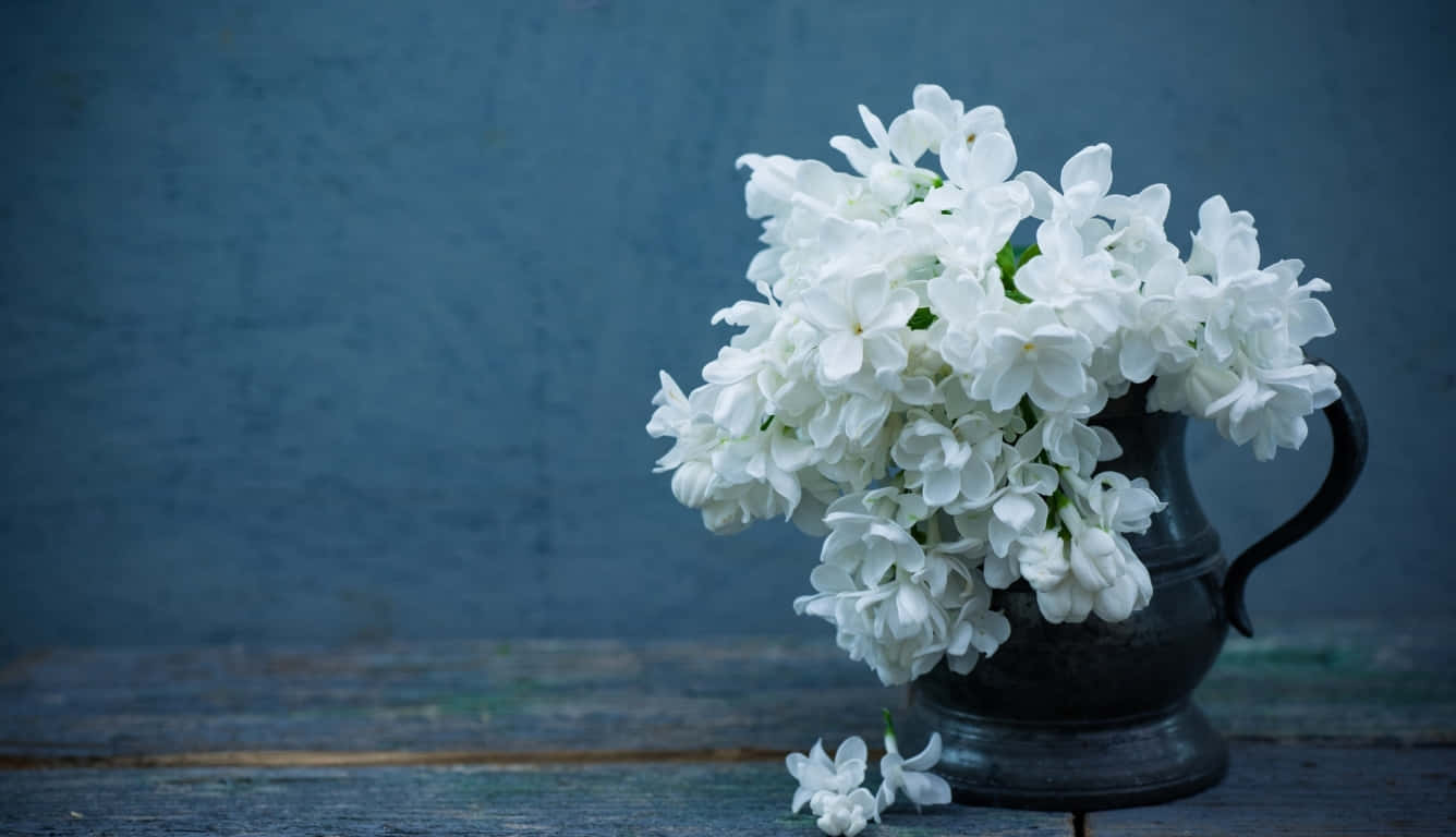 Hvid Blomster Vintage Stille Liv Wallpaper