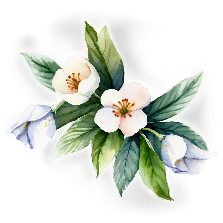 White Flowers Watercolor Png 87 PNG