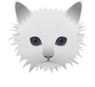 White Fluffy Cat Illustration PNG