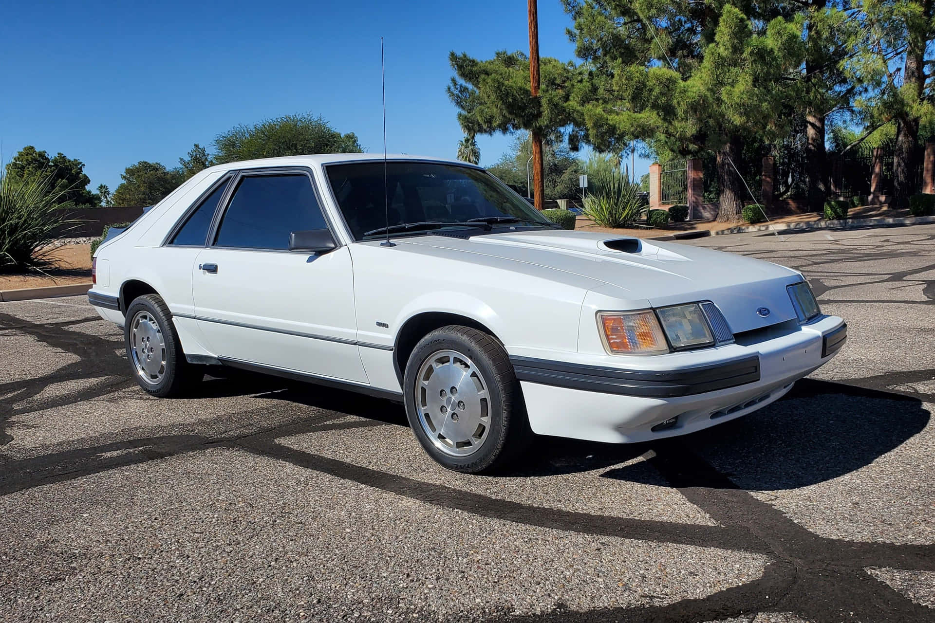 Witte Ford Mustang S V O Geparkeerd Buiten Achtergrond