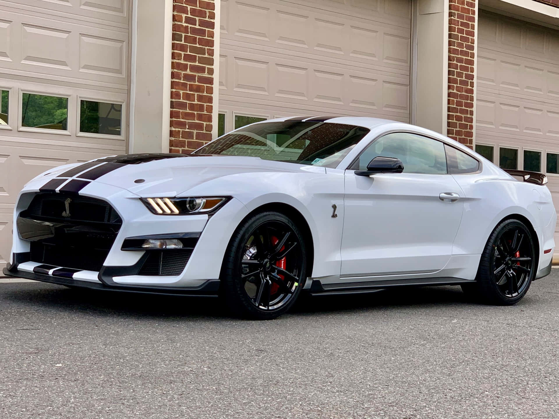 White Ford Mustang Shelby G T500 Parked Wallpaper