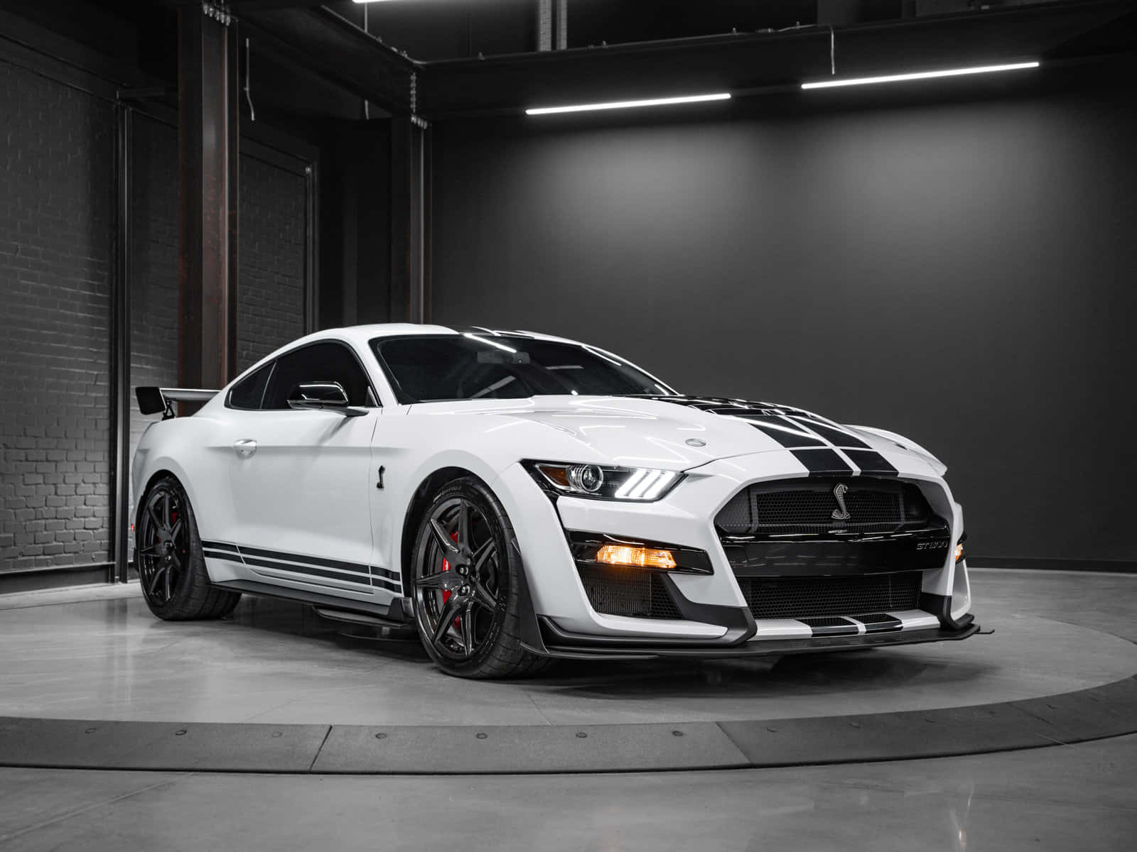 White Ford Mustang Shelby G T500 Showroom Wallpaper