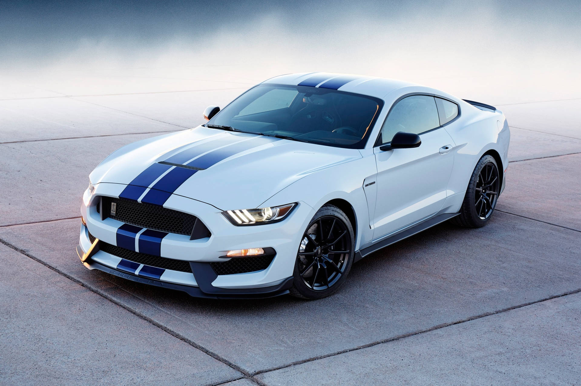 White Ford Shelby Sports Car