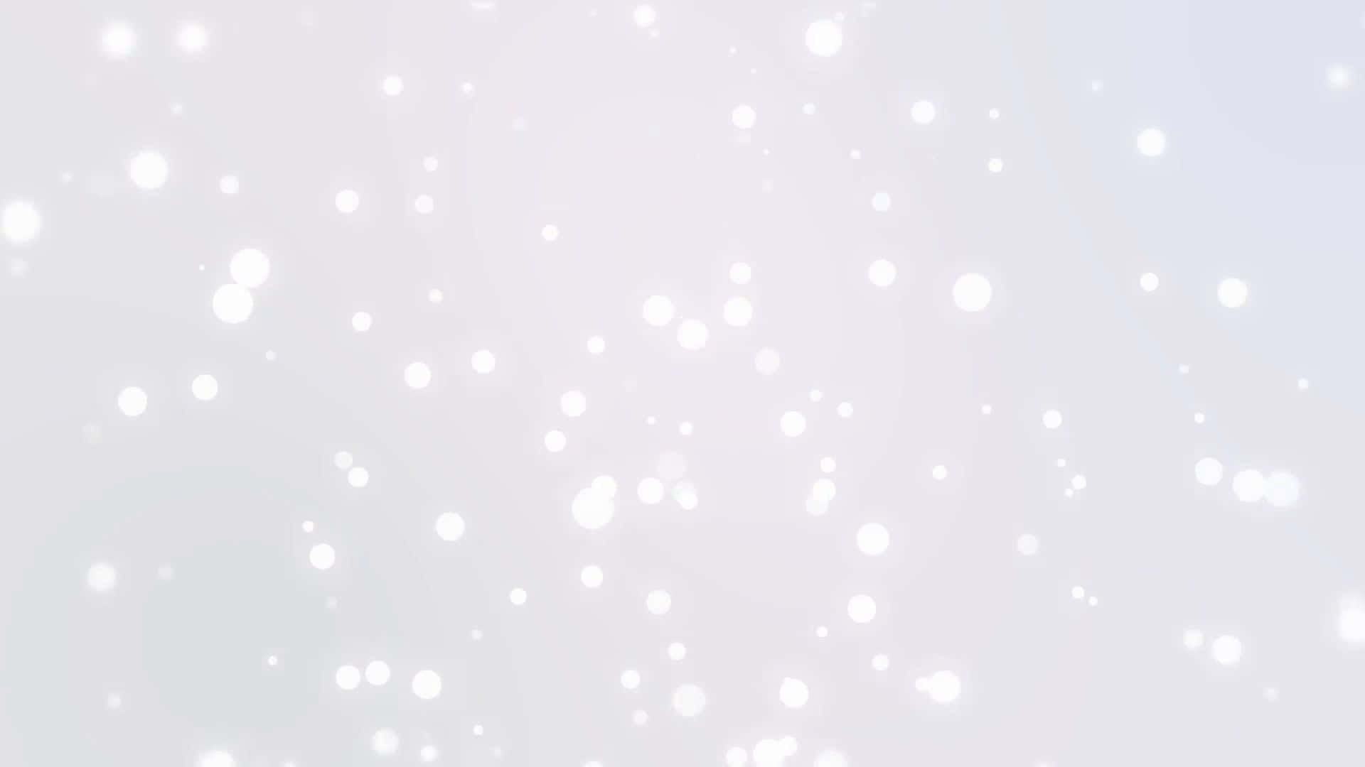 Download White Snowflakes Falling On A White Background Wallpaper |  