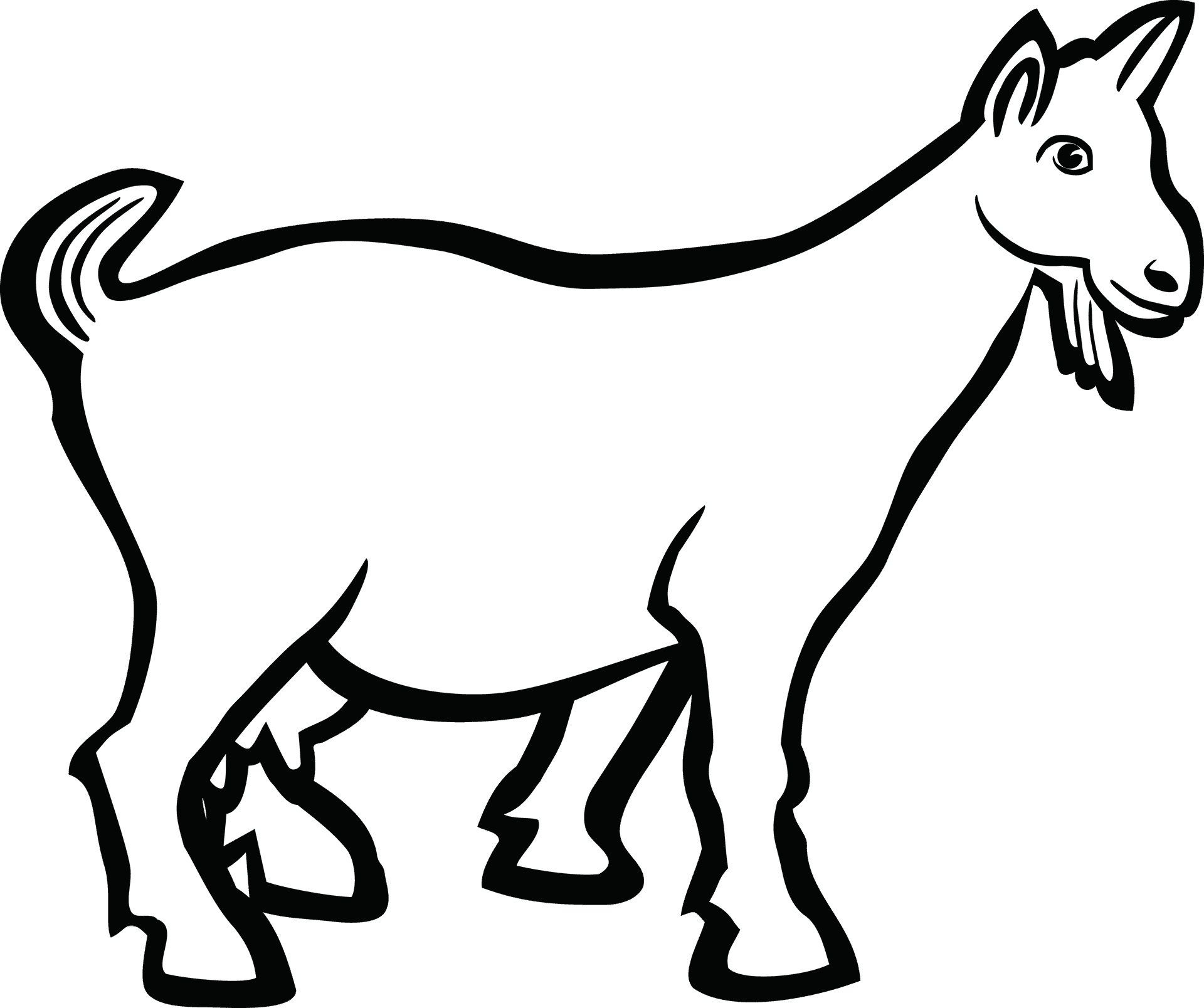 White Goat Illustration PNG