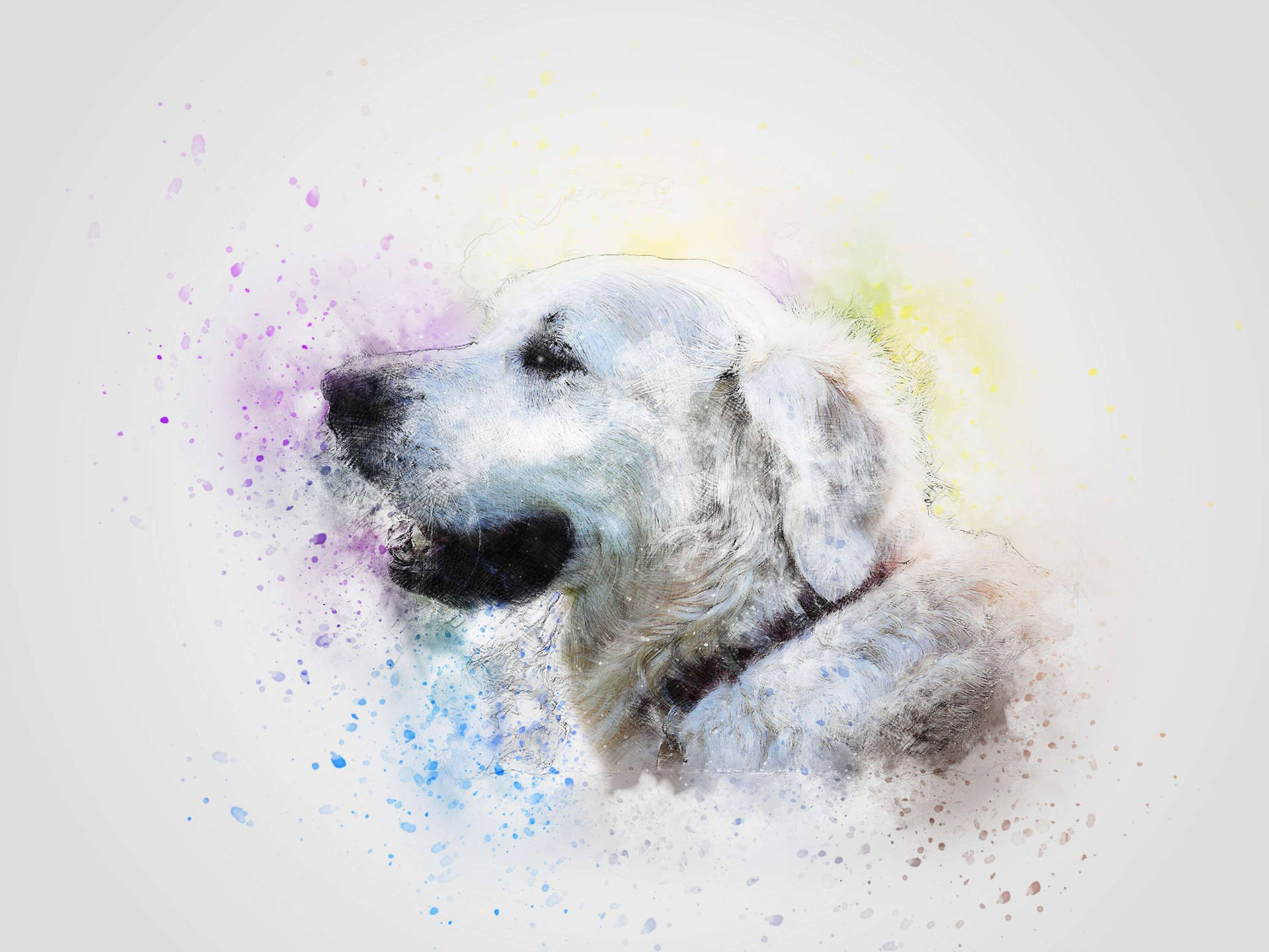 White Golden Retriever Dog Art Wallpaper