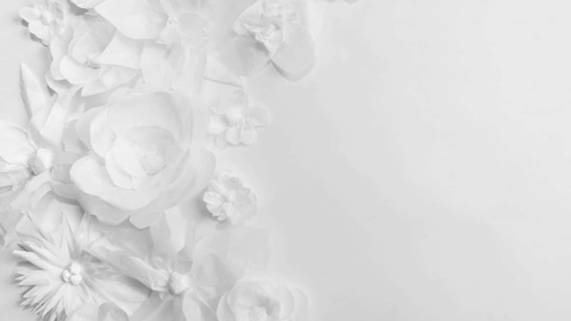 White Paper Flowers On A White Background