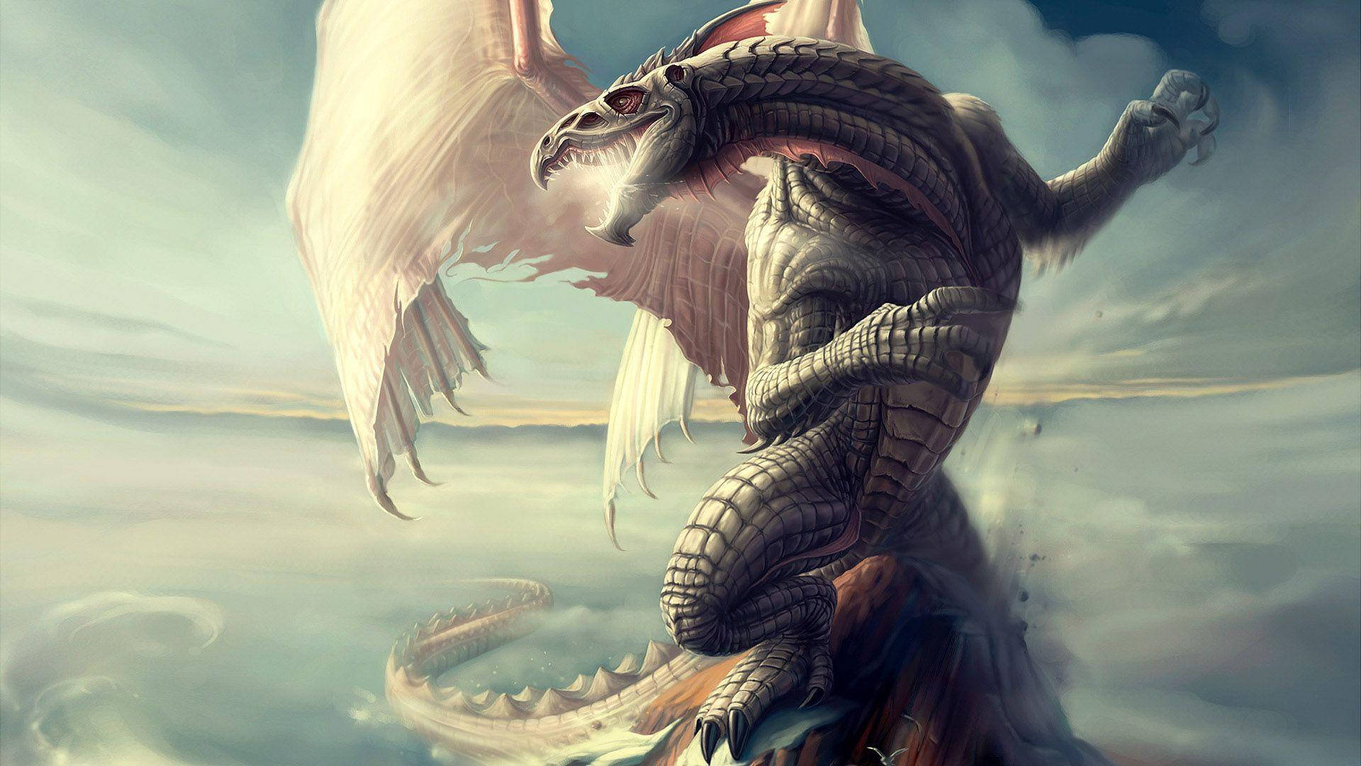 White Hd Dragon On Clouds Wallpaper
