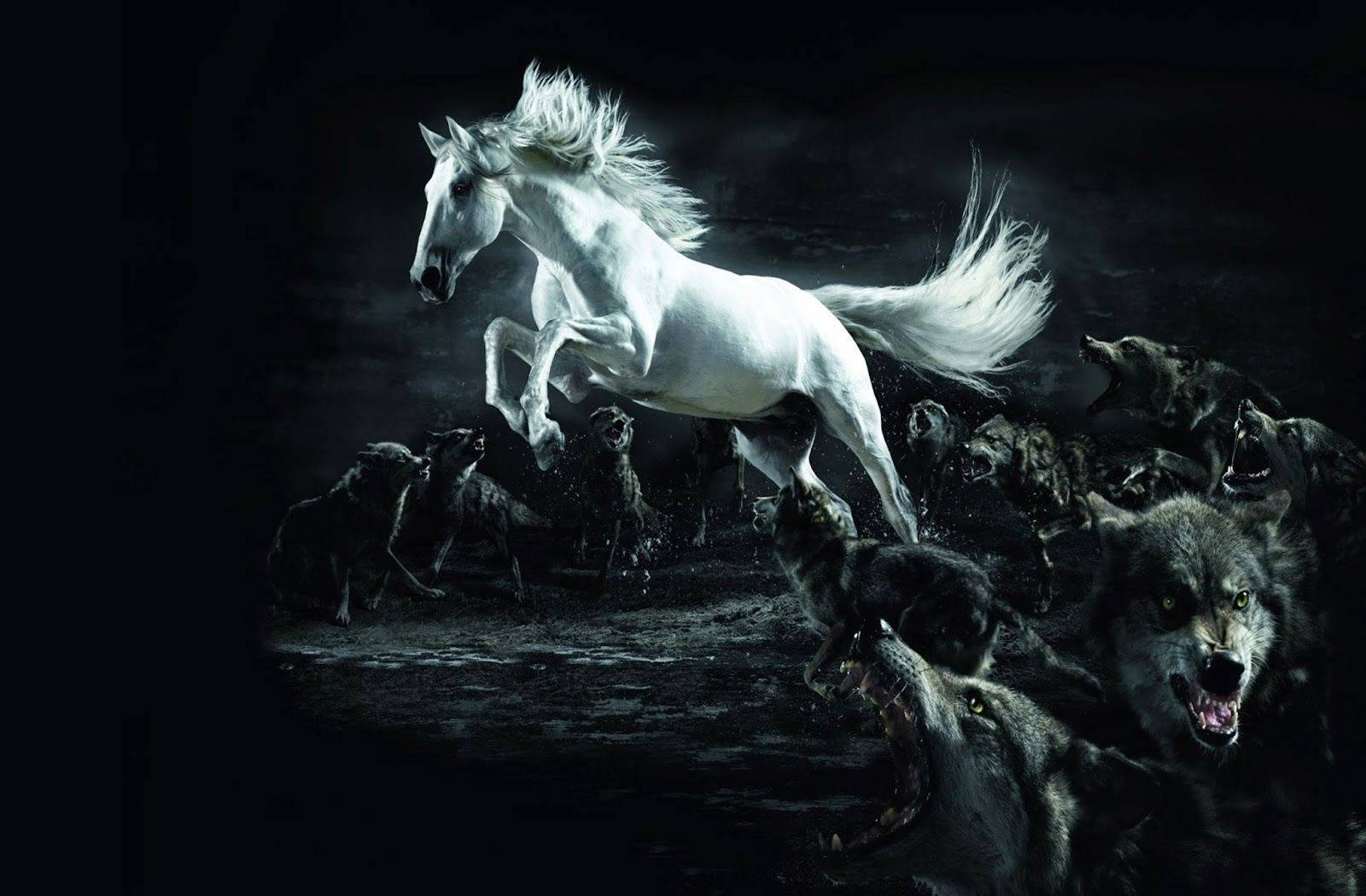 White Horse Against Wolves Wallpaper