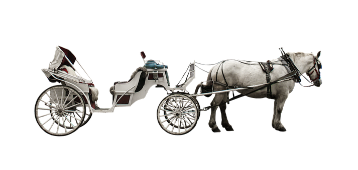 White Horse Drawn Carriage Black Background PNG
