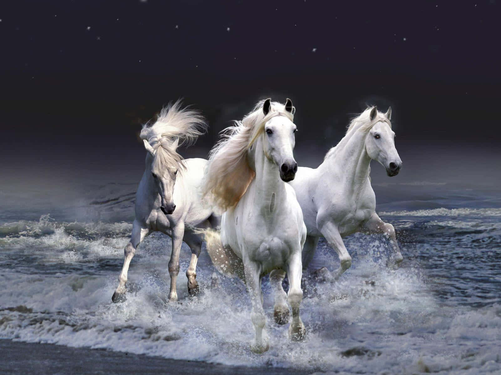 Unmaestoso Cavallo Bianco In Un Campo Di Fiori Selvatici