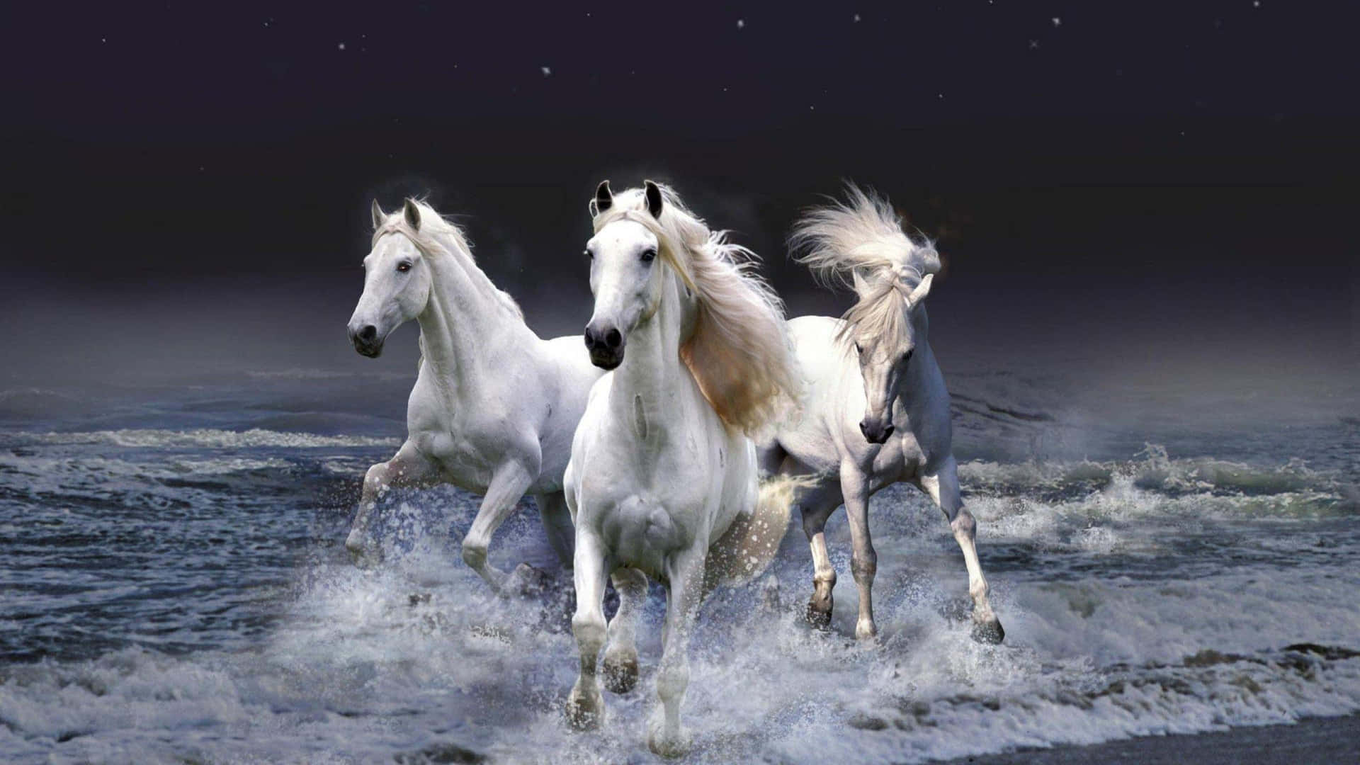 Ilmaestoso Cavallo Bianco Srotola Le Sue Ali.