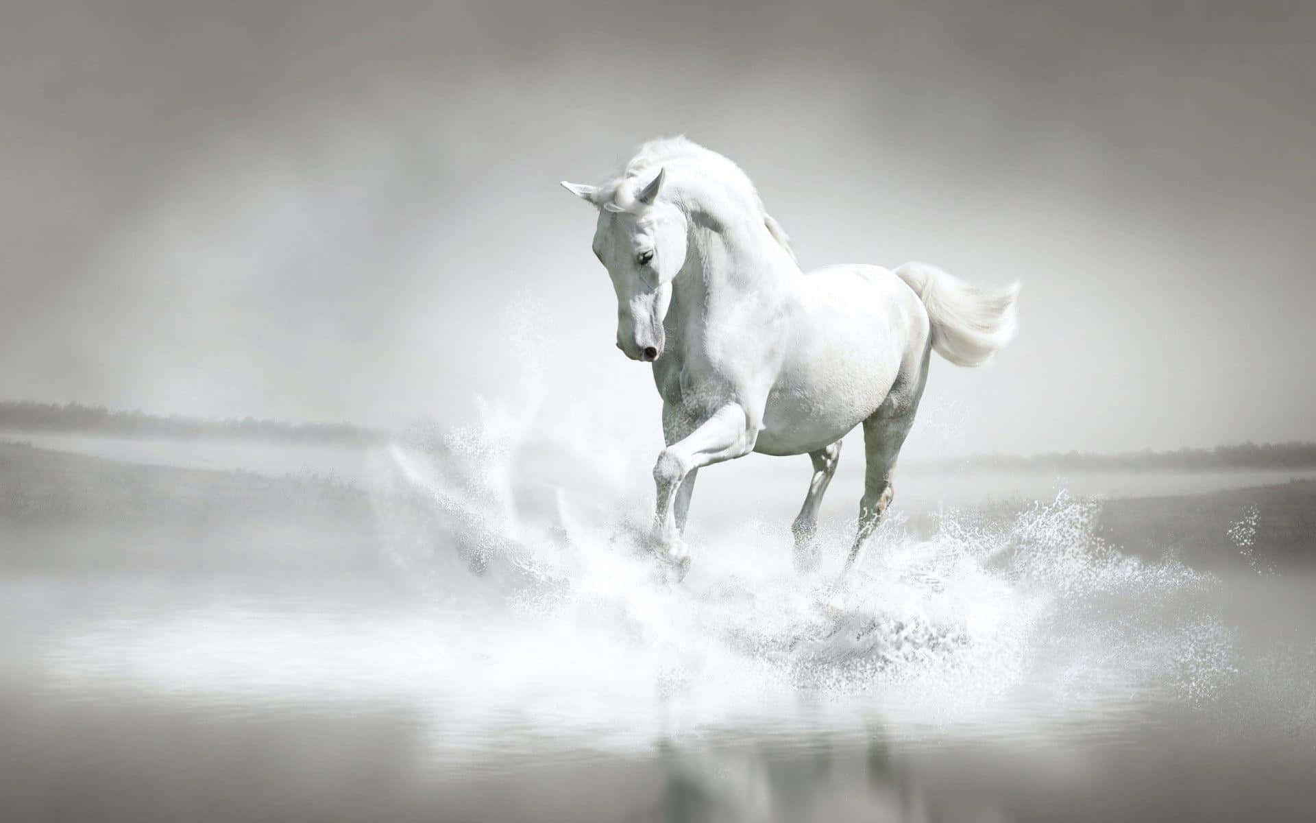 A Majestic White Horse Leaps through the Meadows