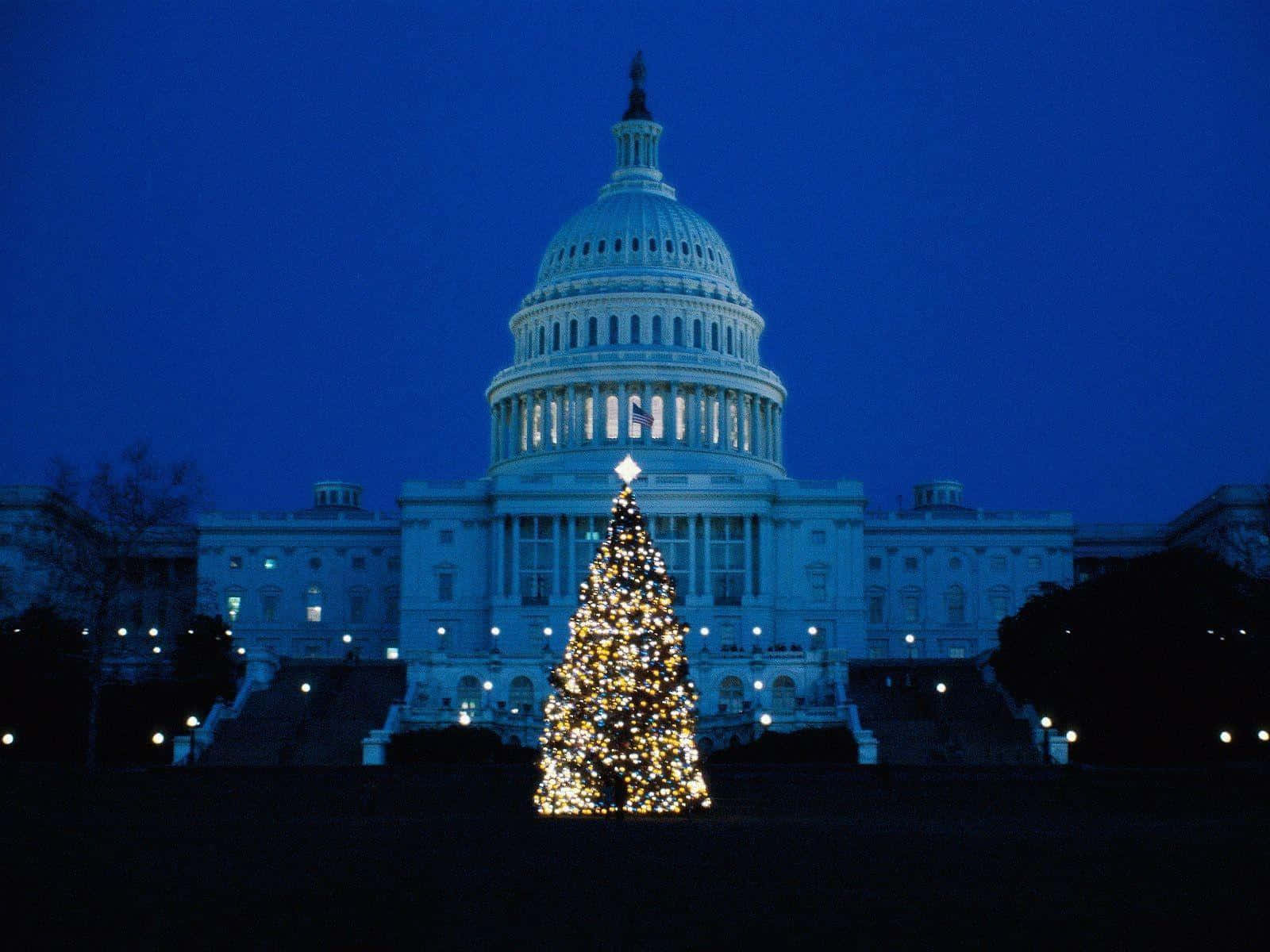 "Striking view of White House in Washington DC"