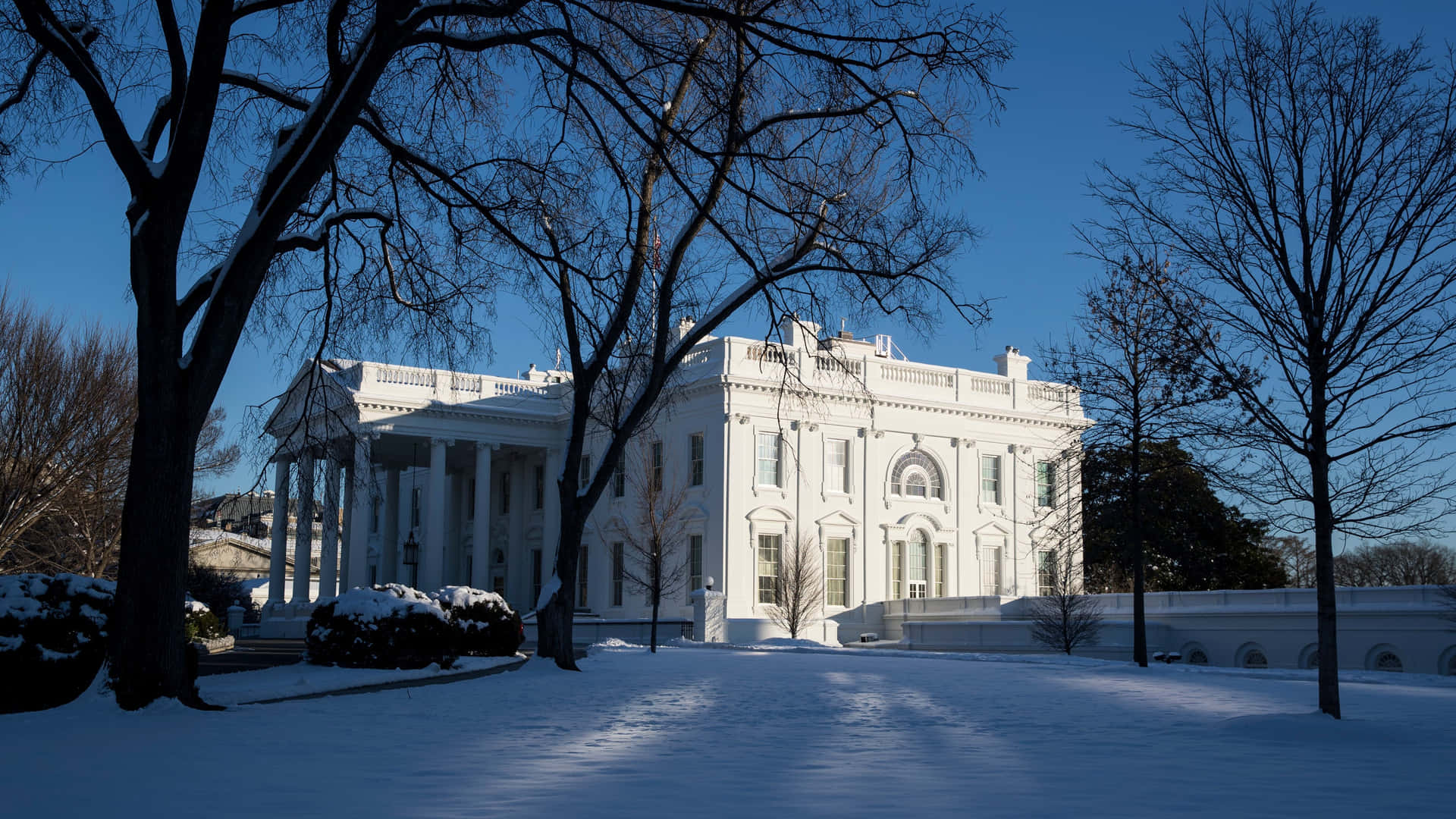 The White House at the National Mall