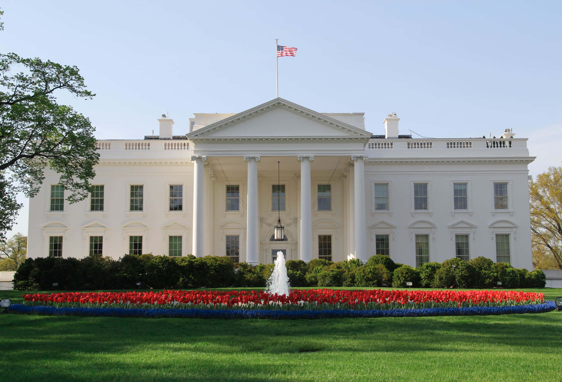 View of the White House in Washington D.C., USA