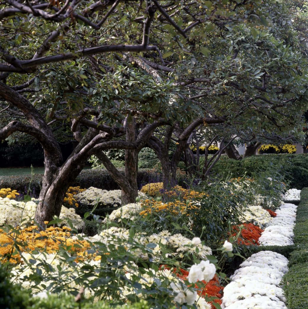 A White House With A Garden