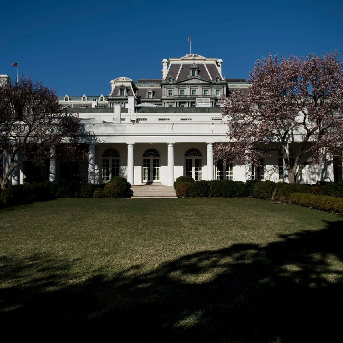 The White House Is Surrounded By Trees And Flowers