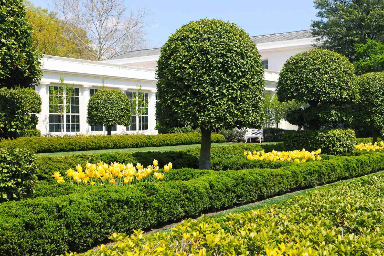 The White House Has A Large Garden With Many Trees