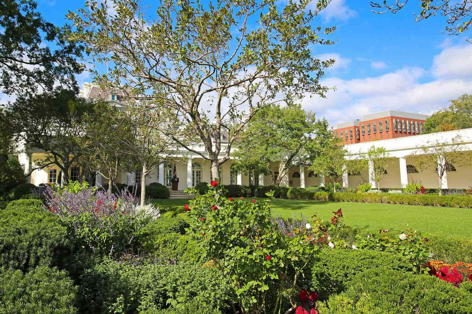 The White House Garden Is Surrounded By Trees And Shrubs