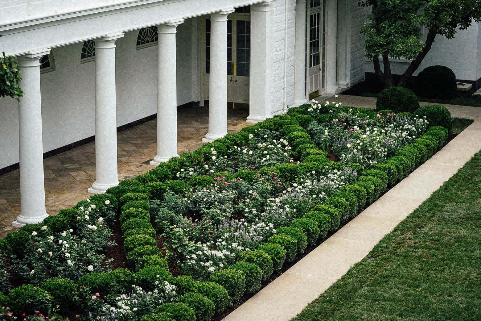 White House Rose Garden Pictures 1560 X 1040