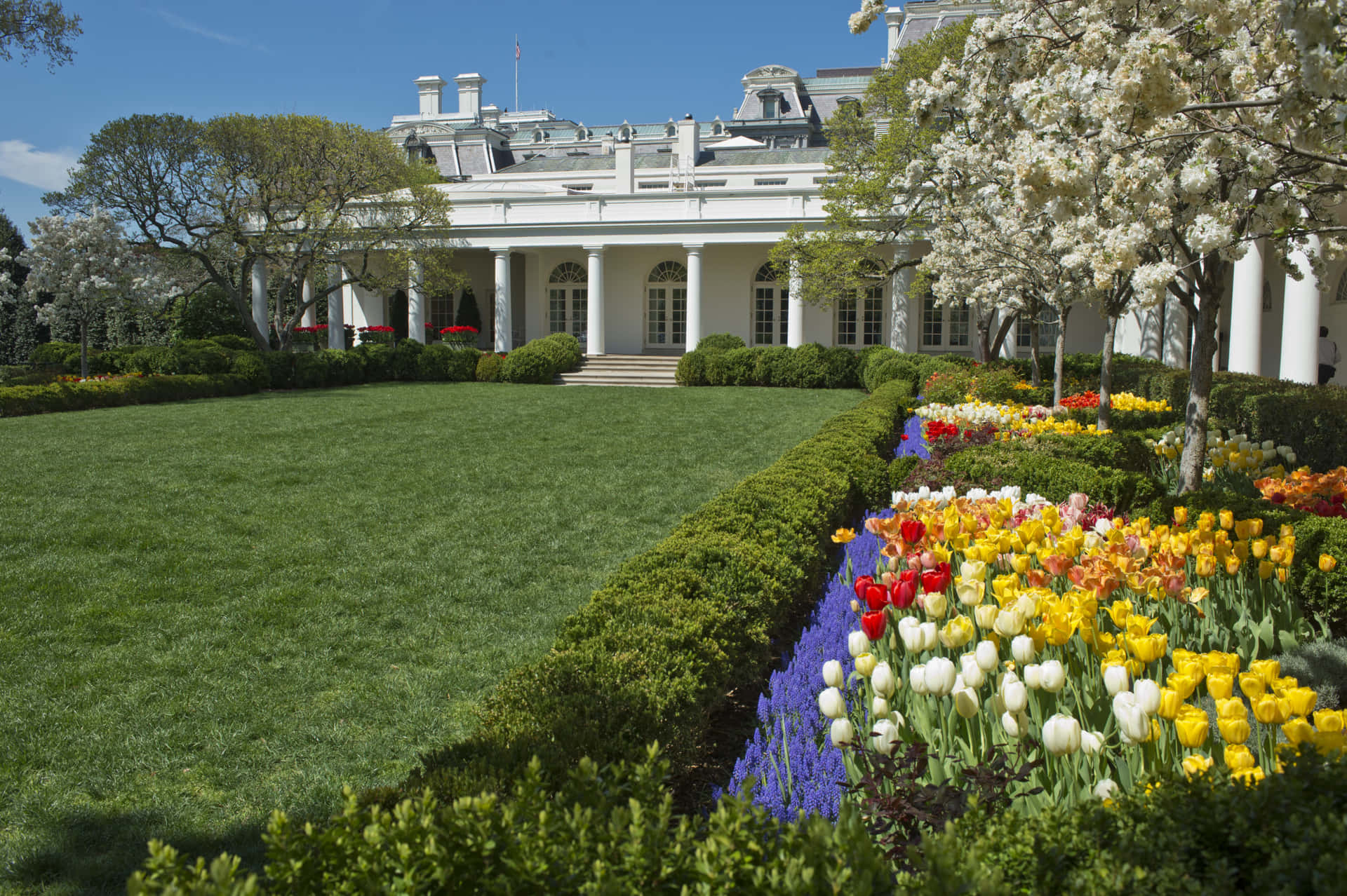 Ilgiardino Delle Rose Della Casa Bianca, Un Simbolo Di Apprezzamento Nazionale Per La Bellezza E La Pace.